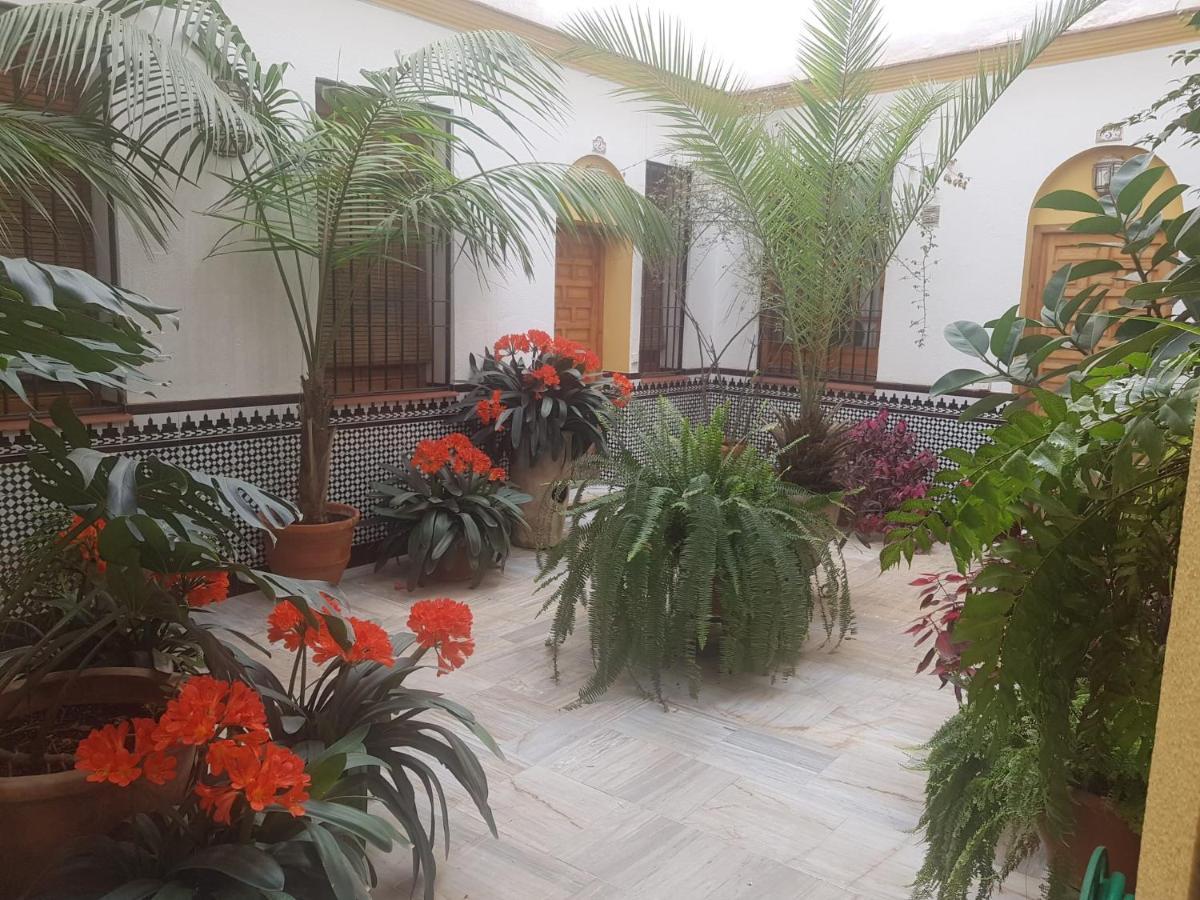 Casa Tipica Cordobesa Leilighet Córdoba Eksteriør bilde