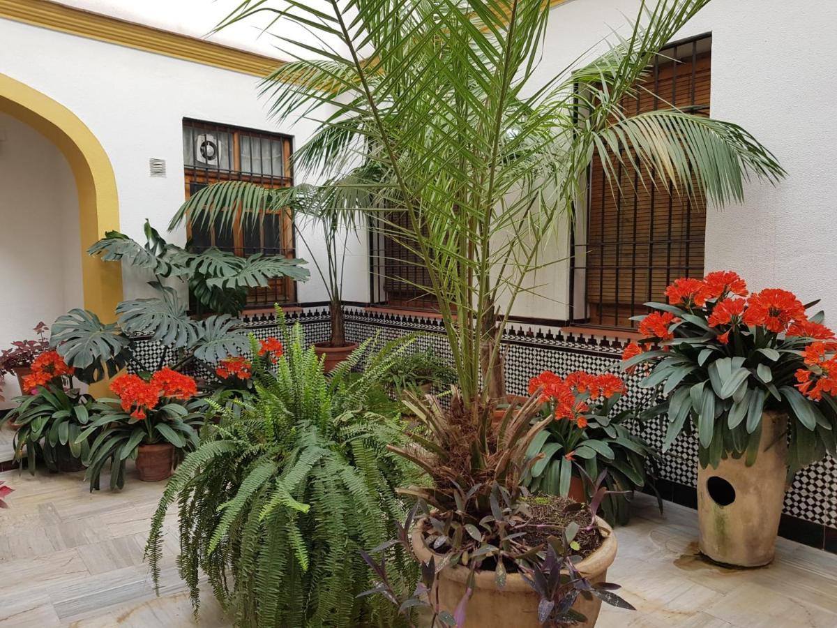 Casa Tipica Cordobesa Leilighet Córdoba Eksteriør bilde
